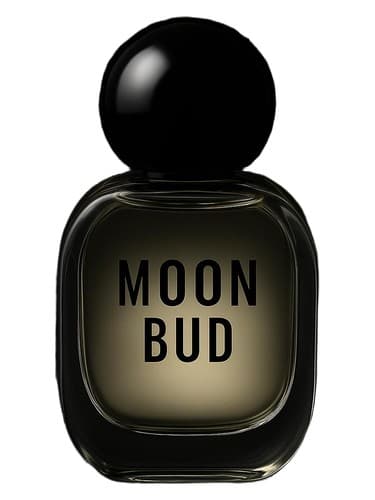 Moonbud - غنچه مون