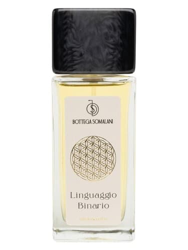 Linguaggio Binario 