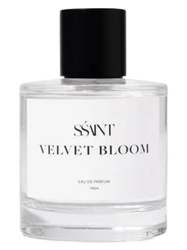 Velvet Bloom - بلوم مخملی
