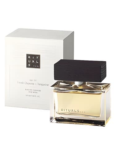 No. 14 Cypress & Fresh Tangerine - شماره 14 سرو و نارنگی تازه