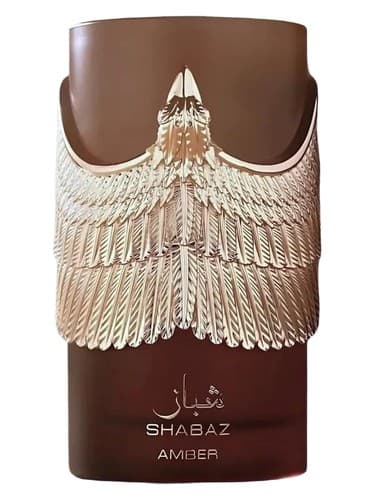 Shabaz Amber