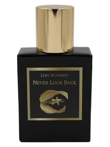 Never Look Back - هرگز به عقب نگاه نکن