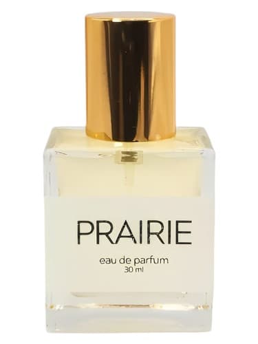 Prairie - دشت