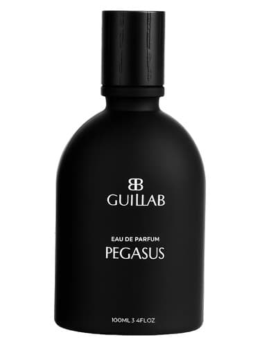 PEGASUS - پگاسوس