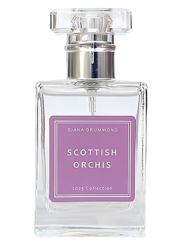 Scottish Orchis