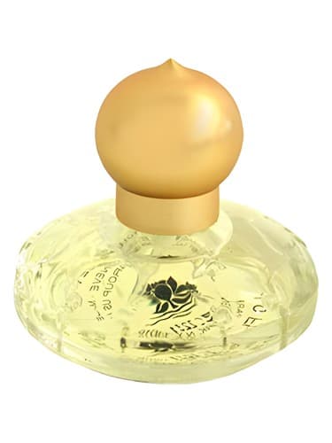 Casmir Fragrance Festival White - کاسمیر جشنواره عطر وایت