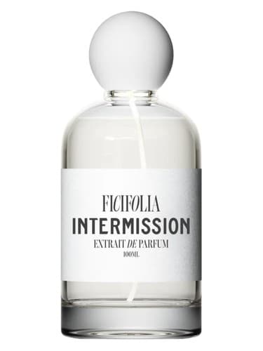 Intermission - وقفه