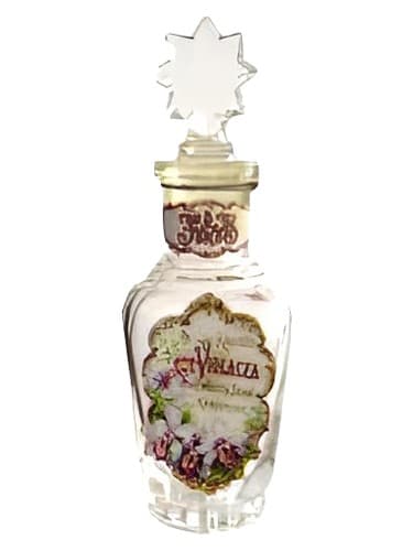 Violacea - ویولاسه