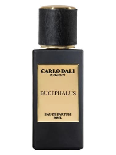 Bucephalus
