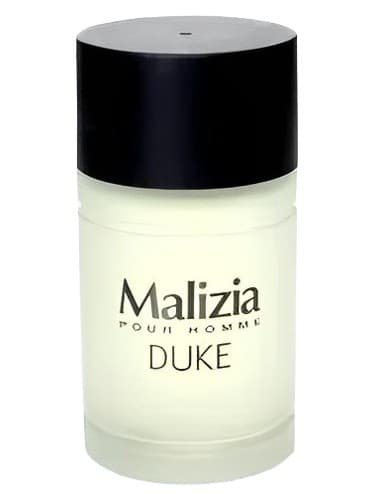 Duke - دوک