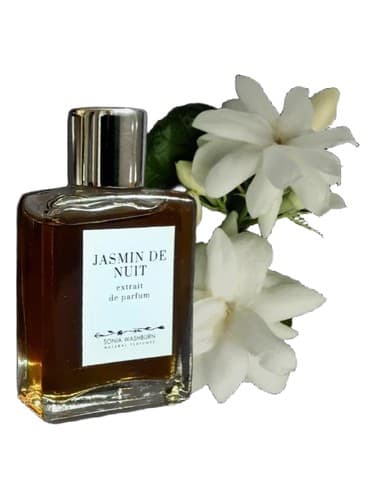Jasmin De Nuit - جاسمین دو نویت