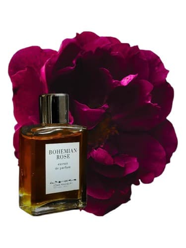 Bohemian Rose - رز بوهمی
