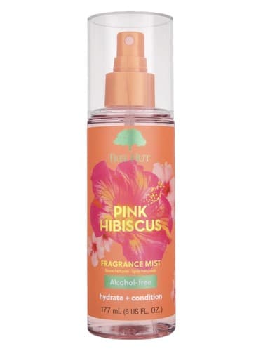 Pink Hibiscus - هیبیسکوس پینک
