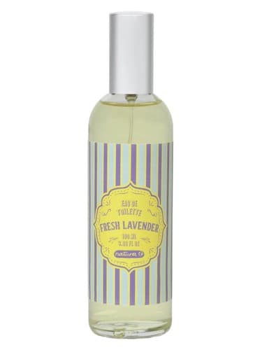 Fresh Lavender - اسطوخودوس تازه