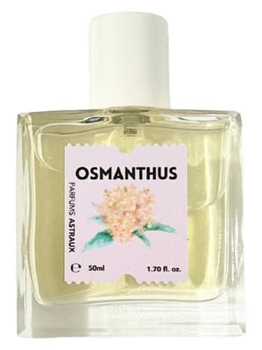 Osmanthus - عثمانتوس