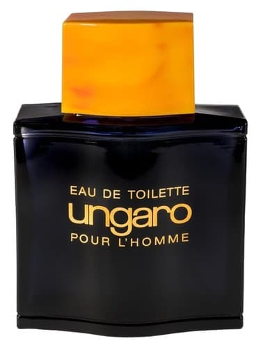 Ungaro pour L'Homme II 