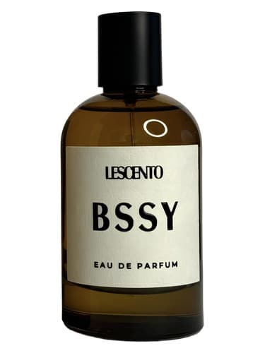 BSSY 