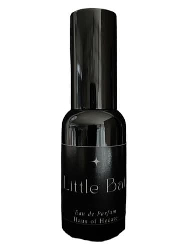 Little Bat - خفاش کوچولو