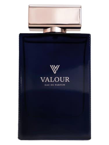 Valour - شجاعت