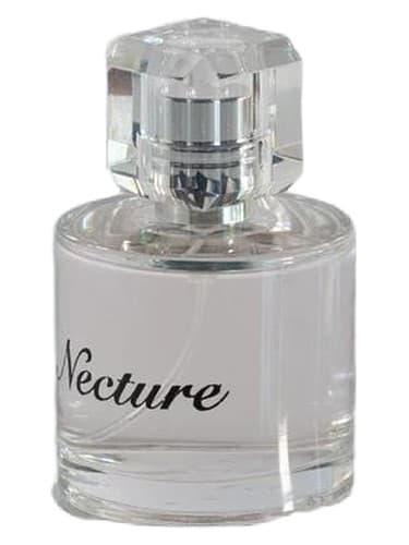 Necture - نکچر
