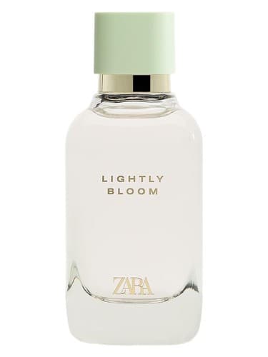 Lightly Bloom - به آرامی شکوفه