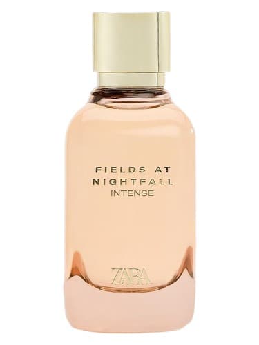 Fields At Nightfall Intense