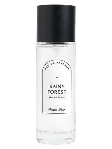 Rainy Forest - جنگل بارانی