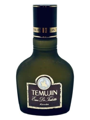 Temujin - تموجین