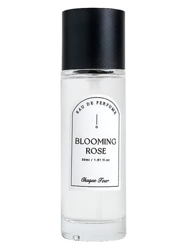 Blooming Rose - گل رز