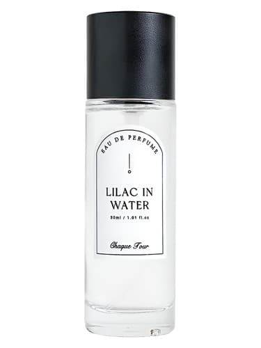 Lilac In Water