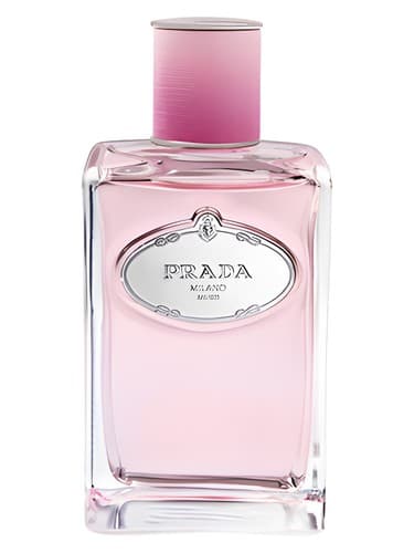 Infusion de Rose