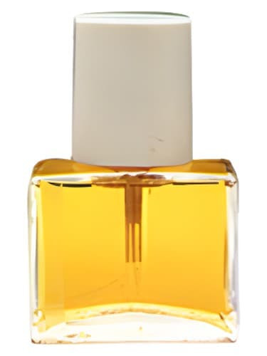 Jil Sander Woman II