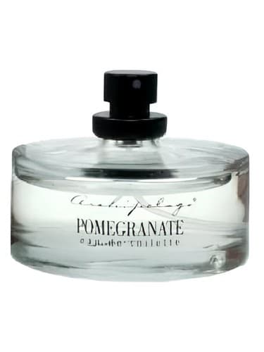 Pomegranate - انار