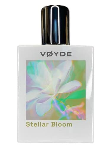 Stellar Bloom - بلوم استار ای