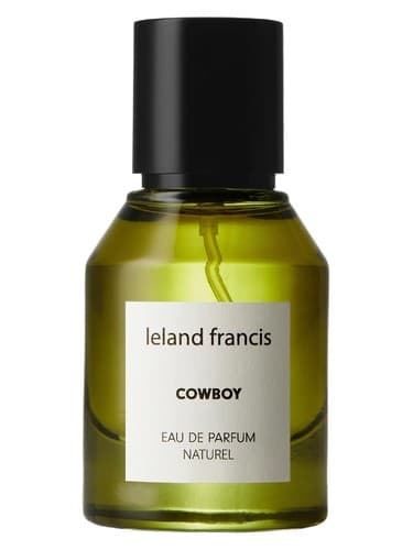 Cowboy - کابوی