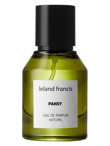 Pansy - پانسی