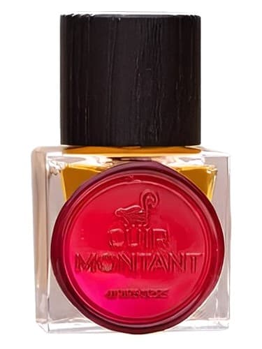 Cuir Montant