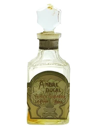 Ambre Ducal