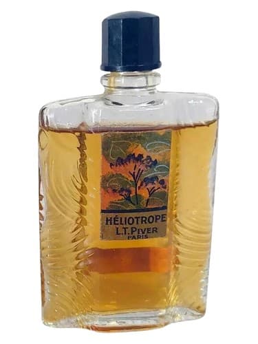 Héliotrope