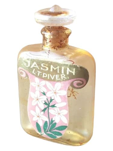 Jasmin