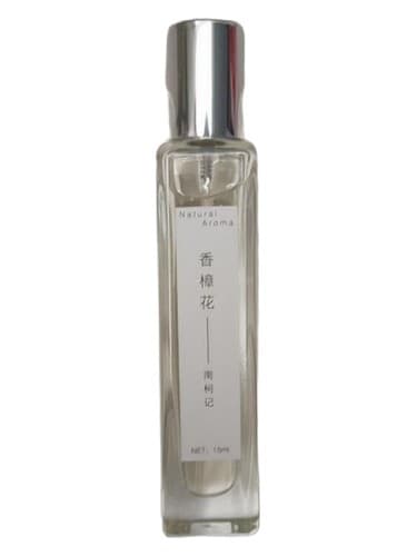 Camphor Flower 香樟花