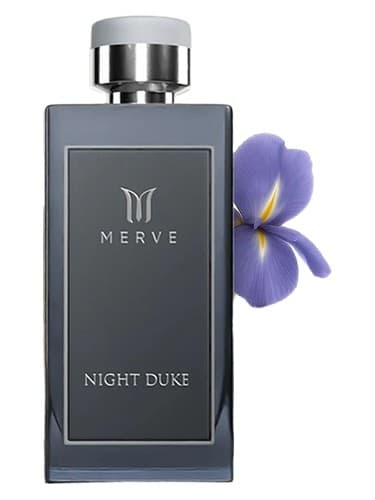 Night Duke - نایت دوک
