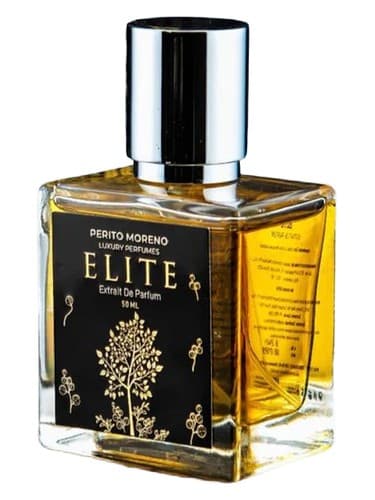 Elite - نخبگان