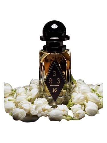 Wild Jasmine
