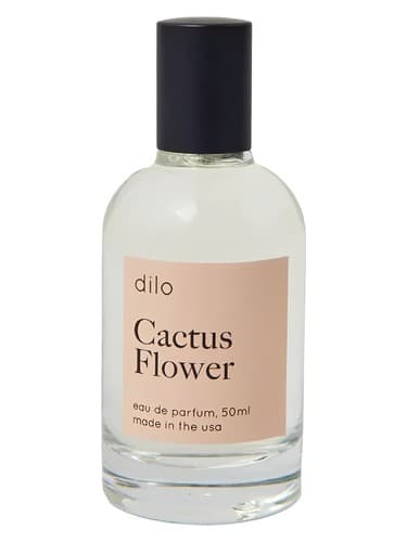 Cactus Flower - گل کاکتوس