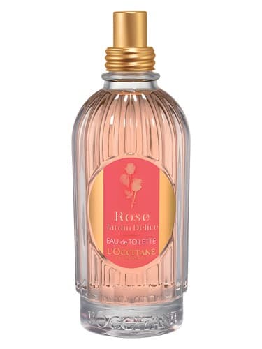 Rose Jardin Delice