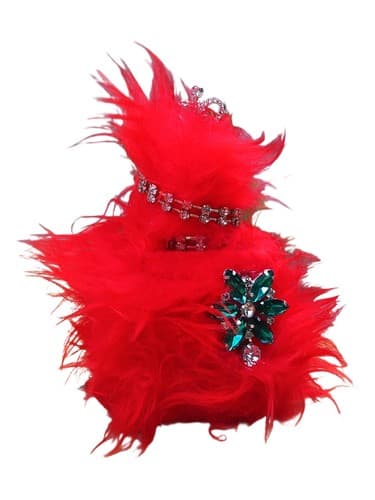 Le Chat Rouge