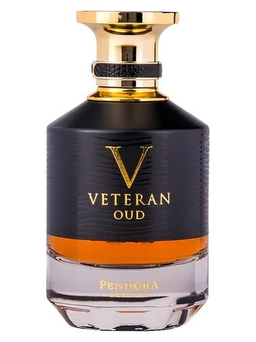 Veteran Oud - عود جانباز