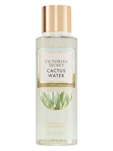 Cactus Water