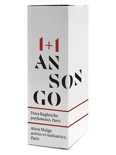 Ansongo - آنسونگو